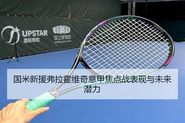 国米新援弗拉霍维奇意甲焦点战表现与未来潜力